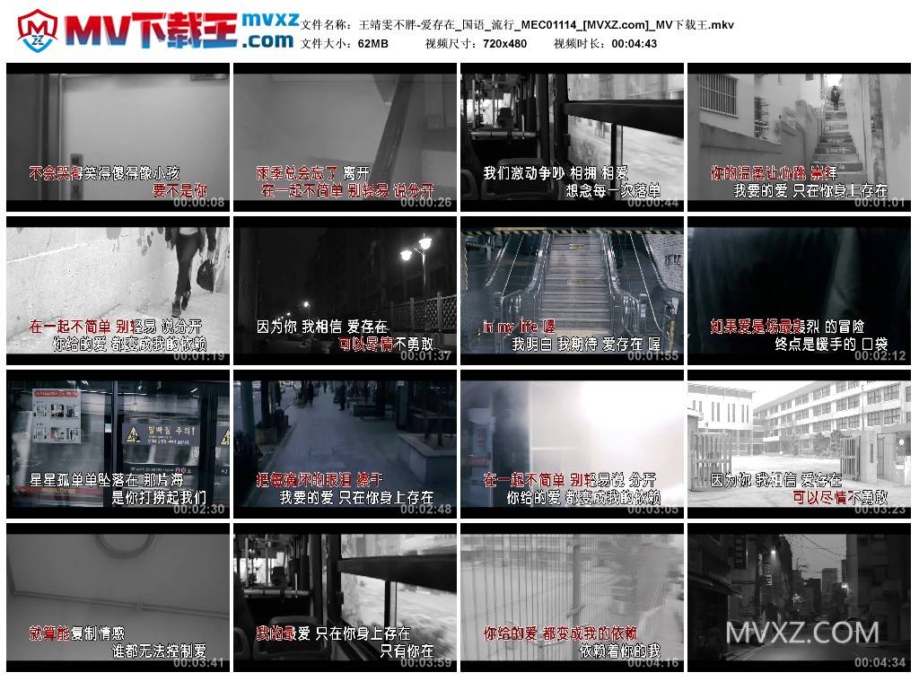 王靖雯不胖-爱存在_国语_流行_MEC01114